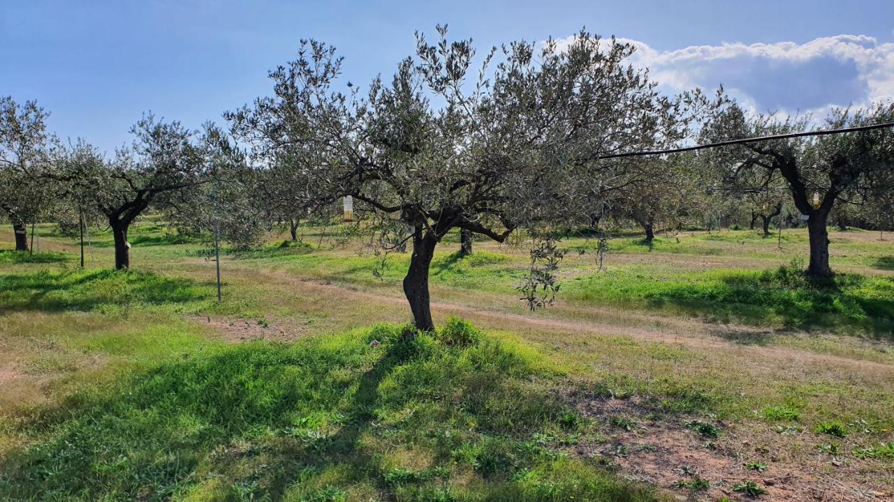 Agriturismo Corte Degli Ulivi Капотера Екстериор снимка