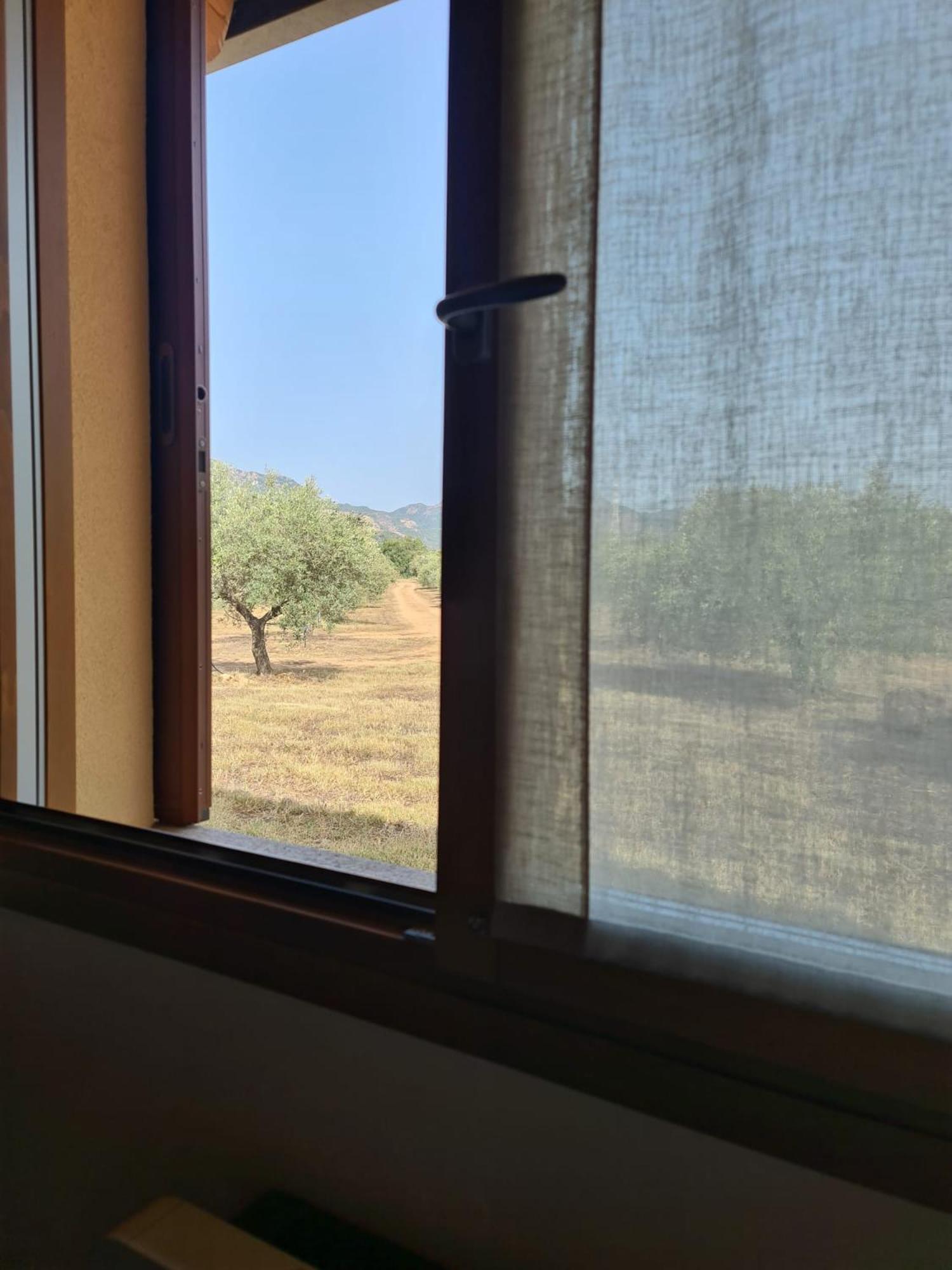 Agriturismo Corte Degli Ulivi Капотера Екстериор снимка